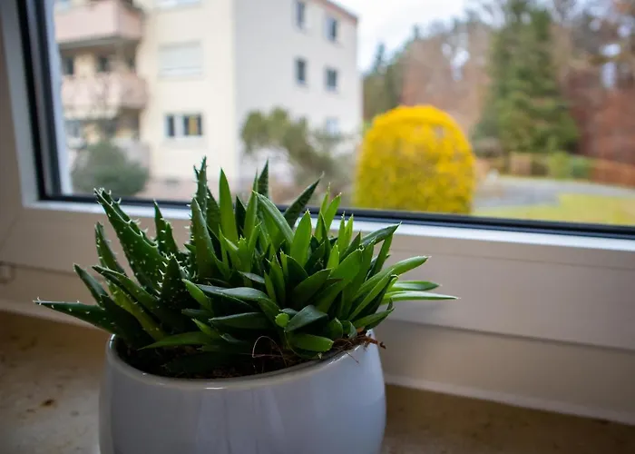 Апартаменты Seewaldblick - Am Bodensee