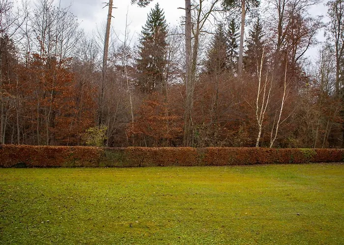 Seewaldblick - Am Bodensee *